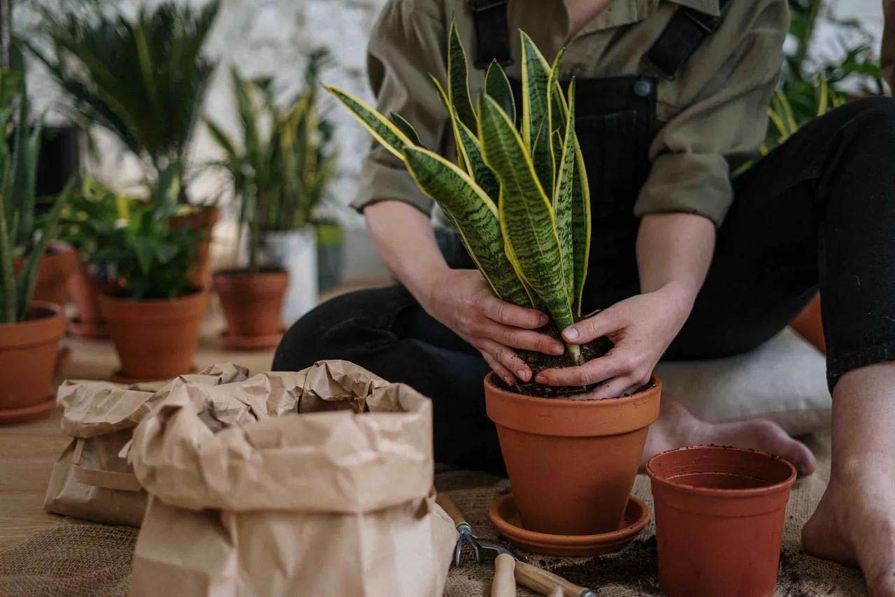 9 Ways Grounding Yourself Can Help When You Feel Overwhelmed 1
